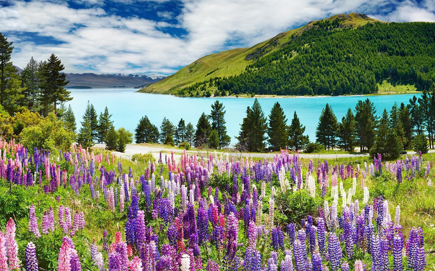 Beautiful Lake New Zealand Wallpapers