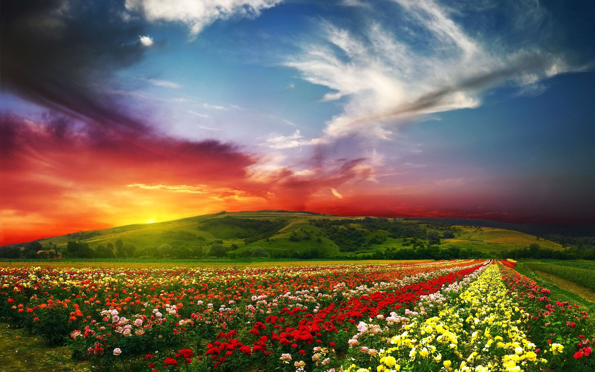 Beautiful Landscapes Wallpapers Wallpapers