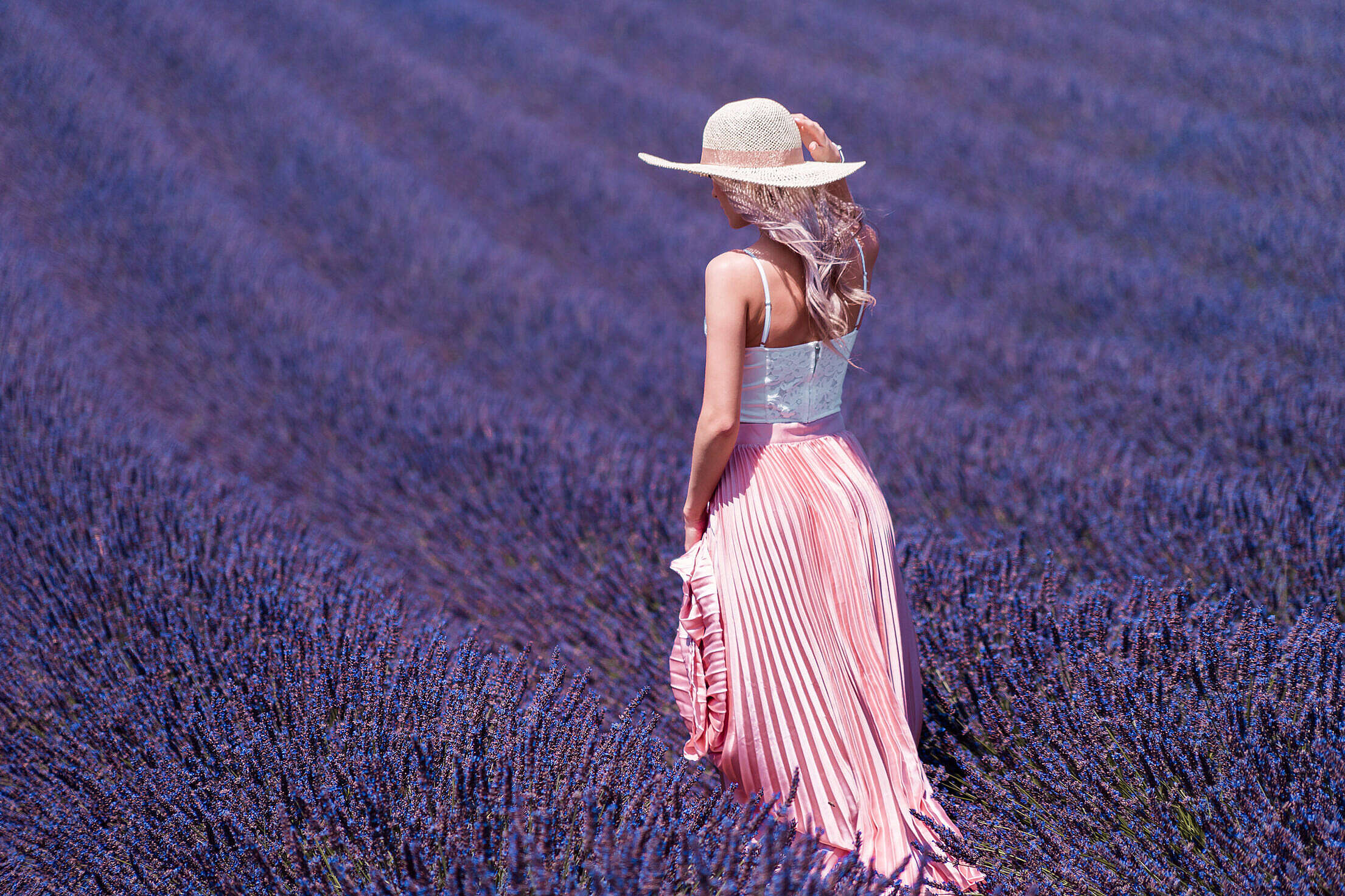 Beautiful Lavender Field Wallpapers Wallpapers