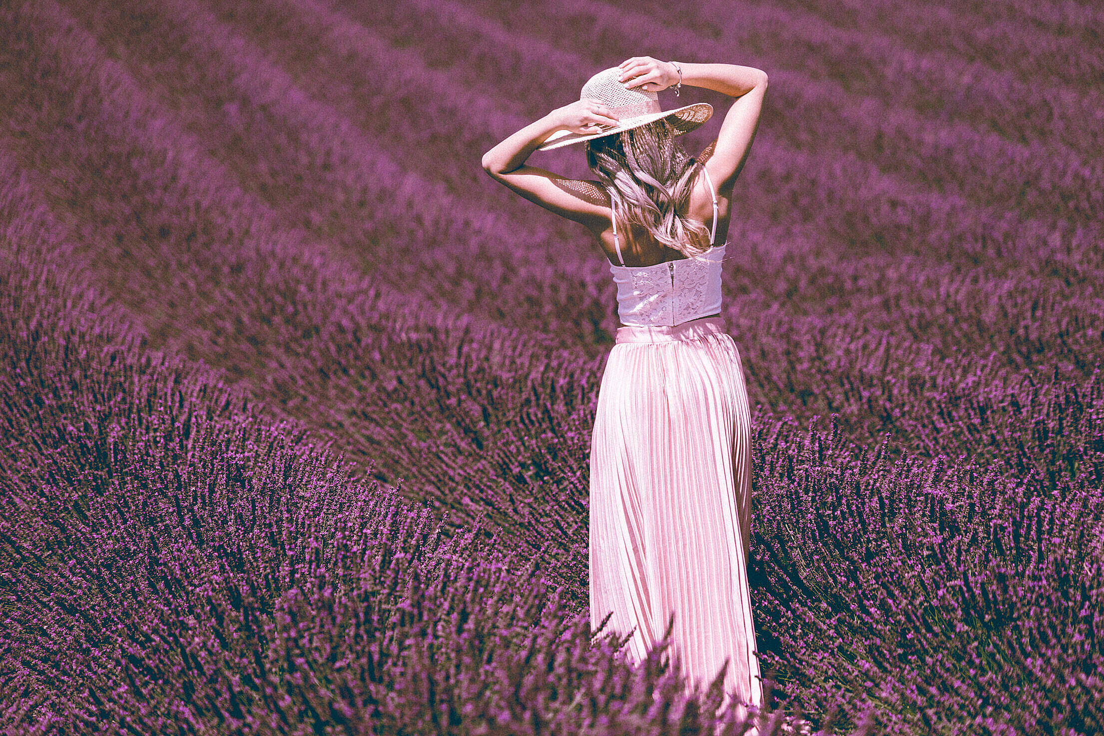 Beautiful Lavender Field Wallpapers Wallpapers