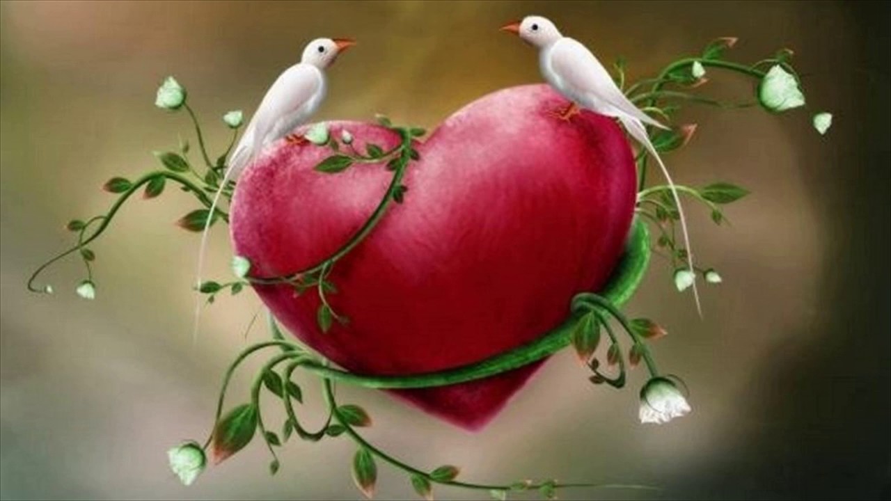 Beautiful Love Birds Wallpapers