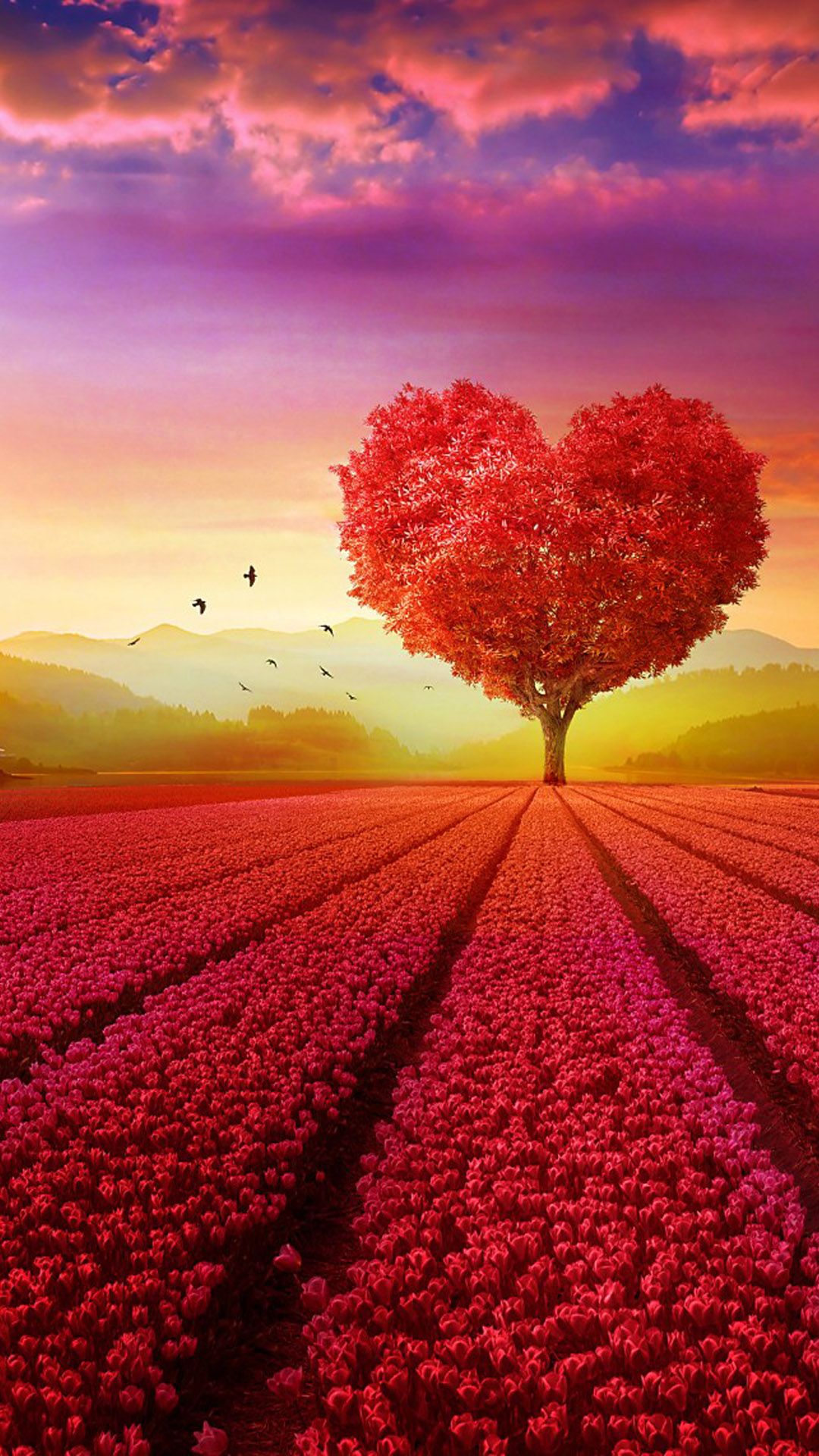 Beautiful Love Nature Images Wallpapers