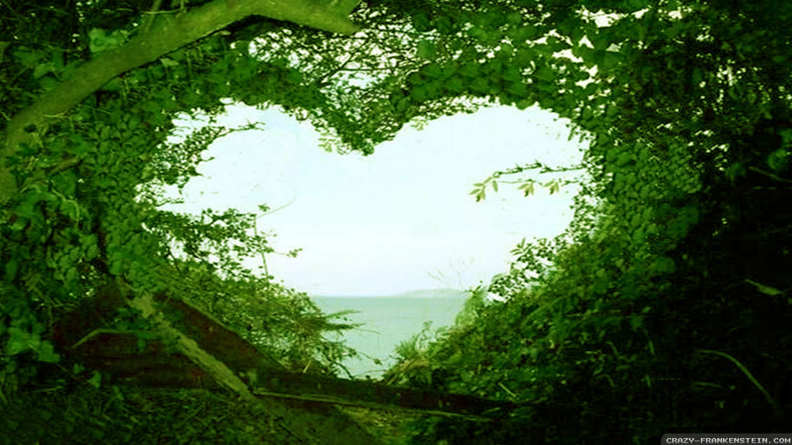 Beautiful Love Nature Images Wallpapers