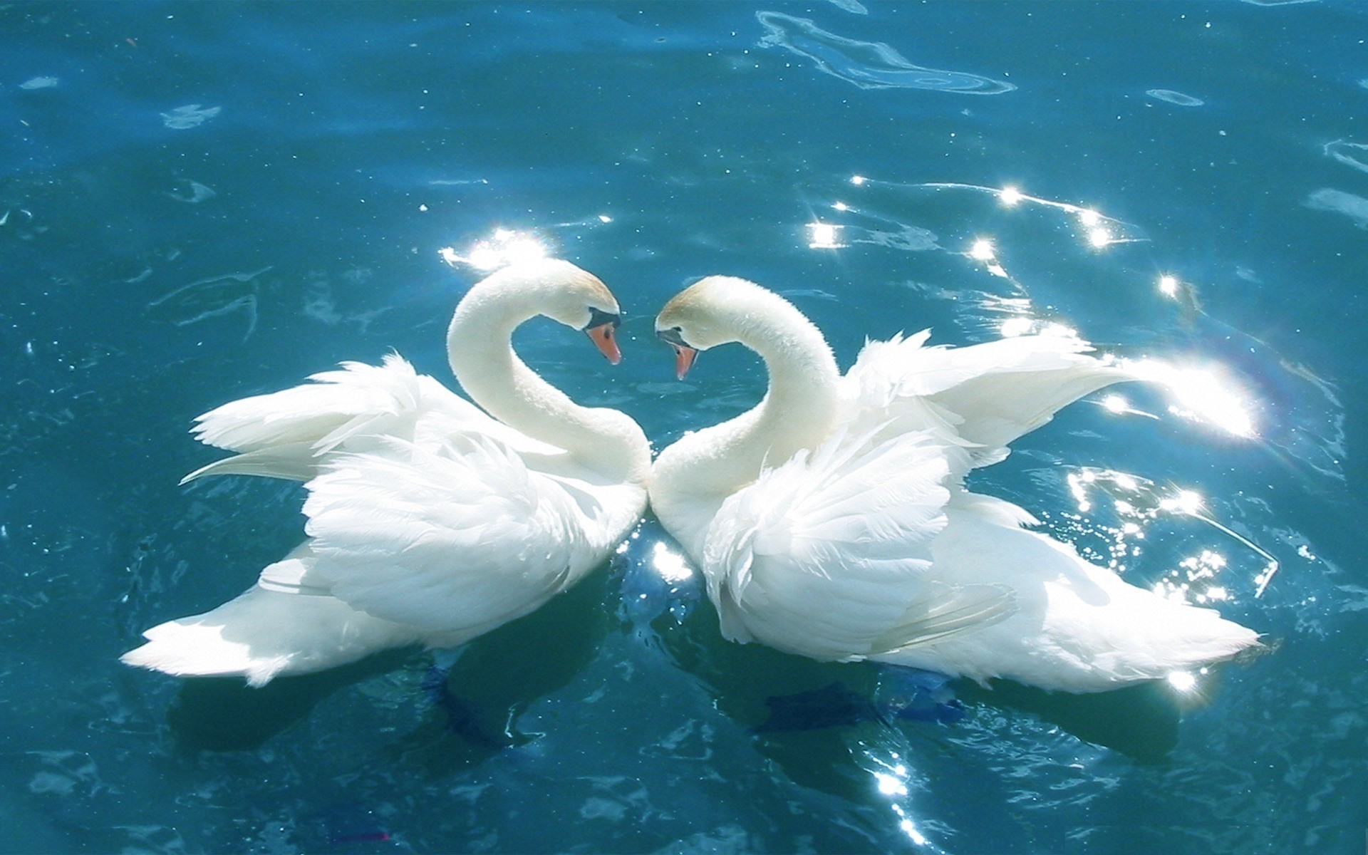 Beautiful Love Nature Images Wallpapers