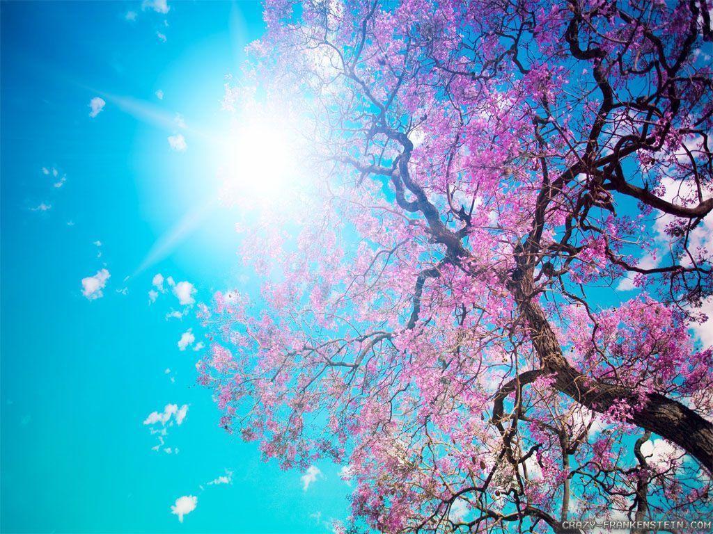 Beautiful Nature Spring Wallpapers