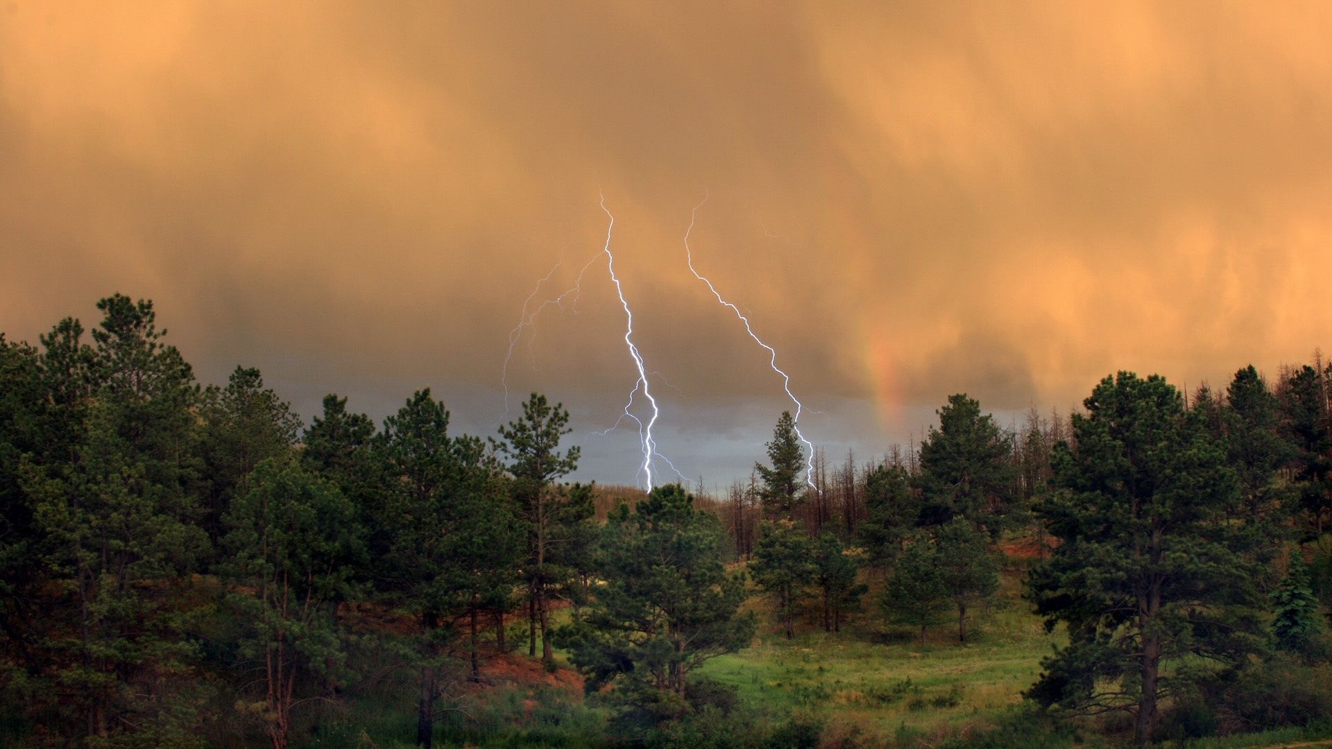 Beautiful Nature Thunderstorm Colorful Forest Wallpapers