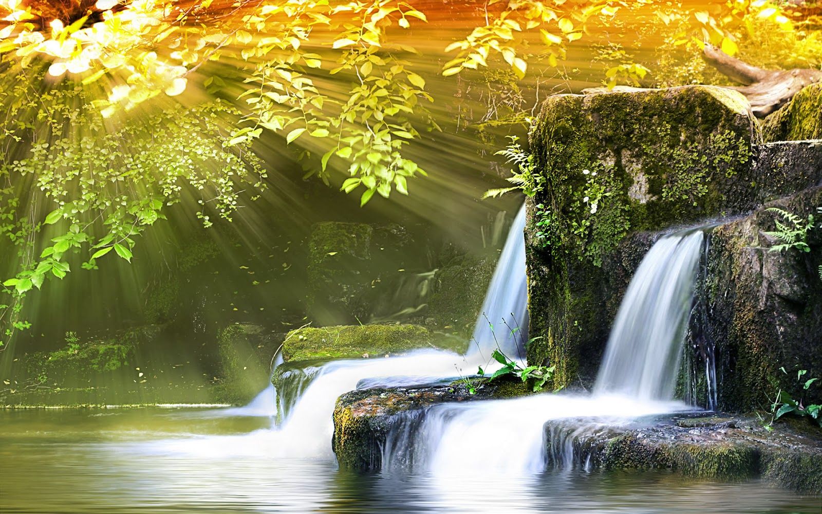 Beautiful Nature Wallpapers With Quotes For Facebook Cover Page Wallpapers