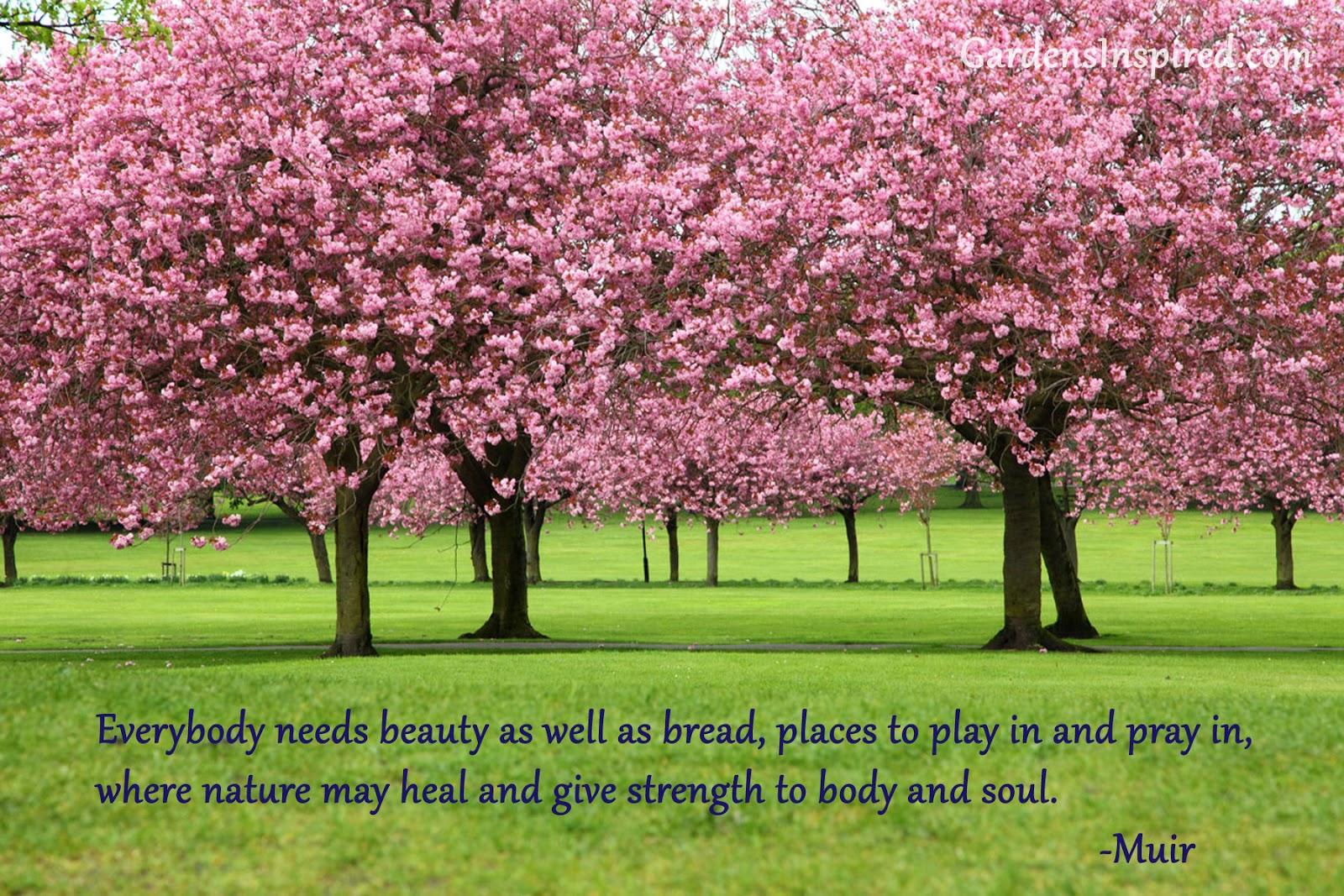 Beautiful Nature Wallpapers With Quotes For Facebook Cover Page Wallpapers