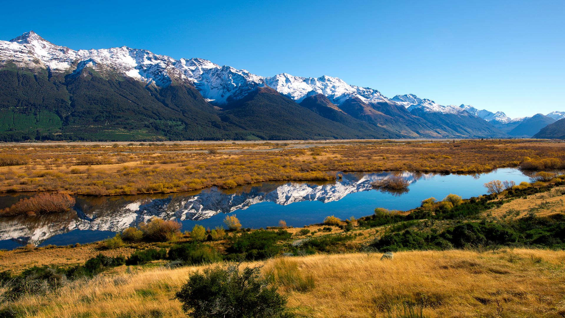 Beautiful New Zealand Wallpapers