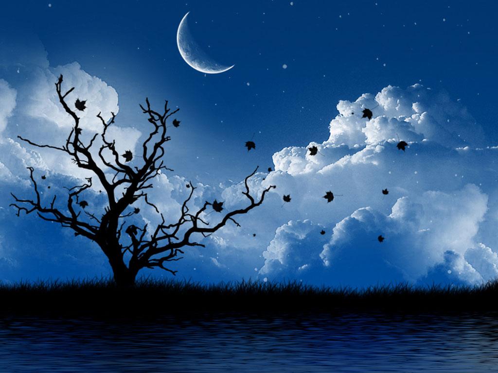 Beautiful Night Scenery Wallpapers