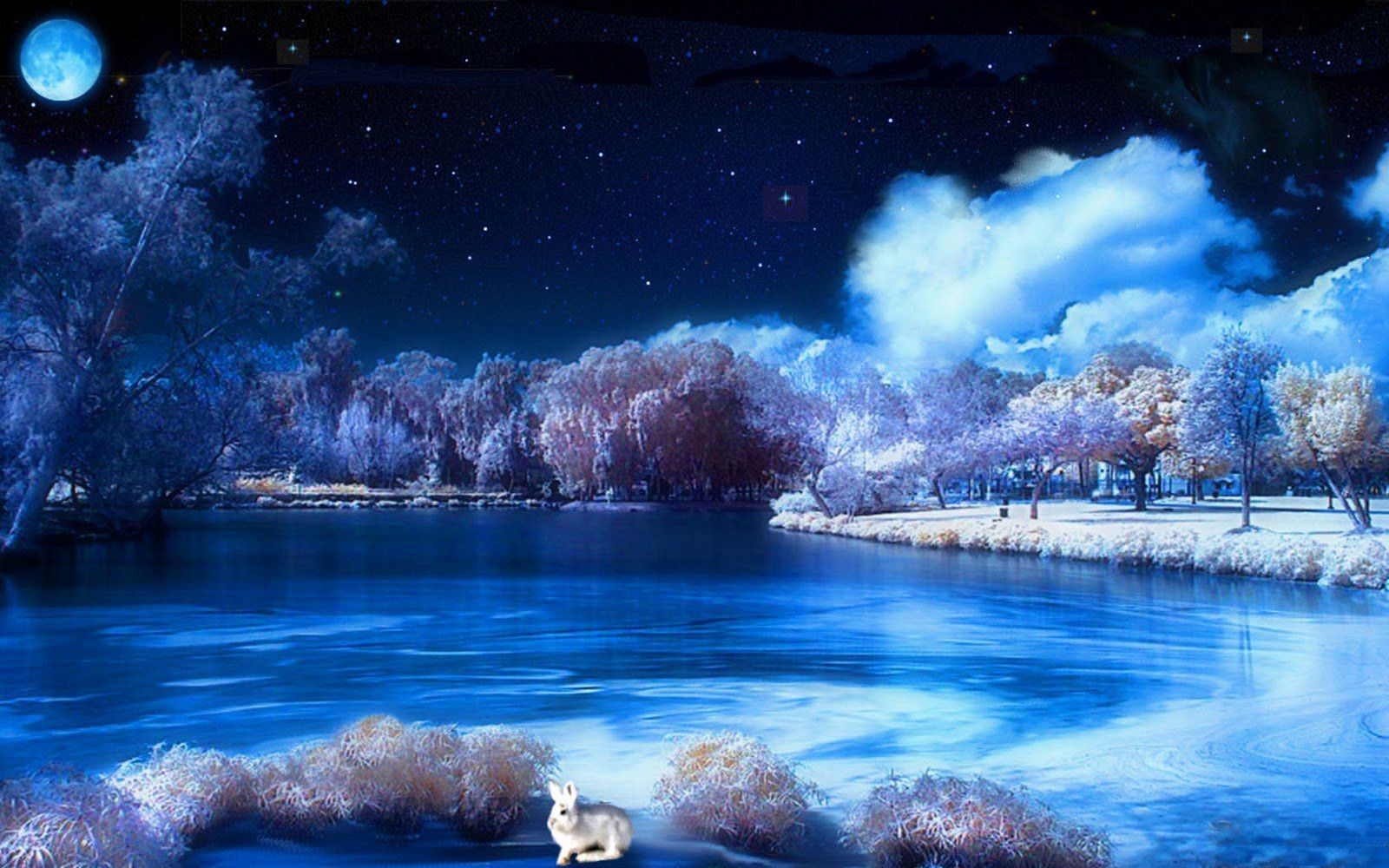 Beautiful Night Scenery Wallpapers