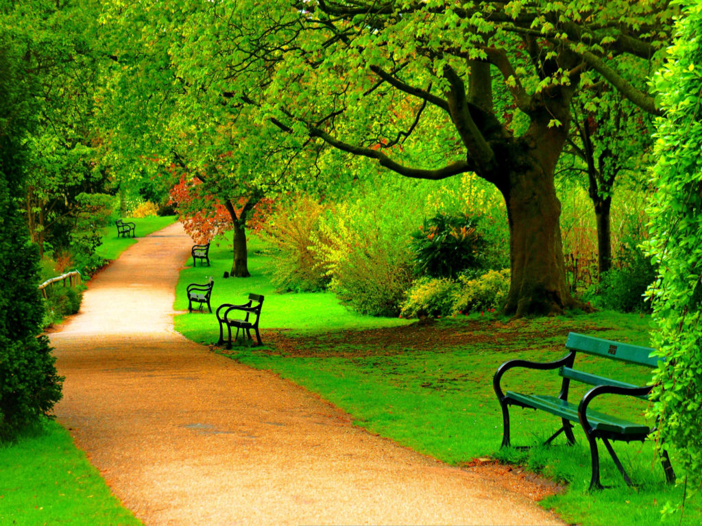 Beautiful Park Wallpapers