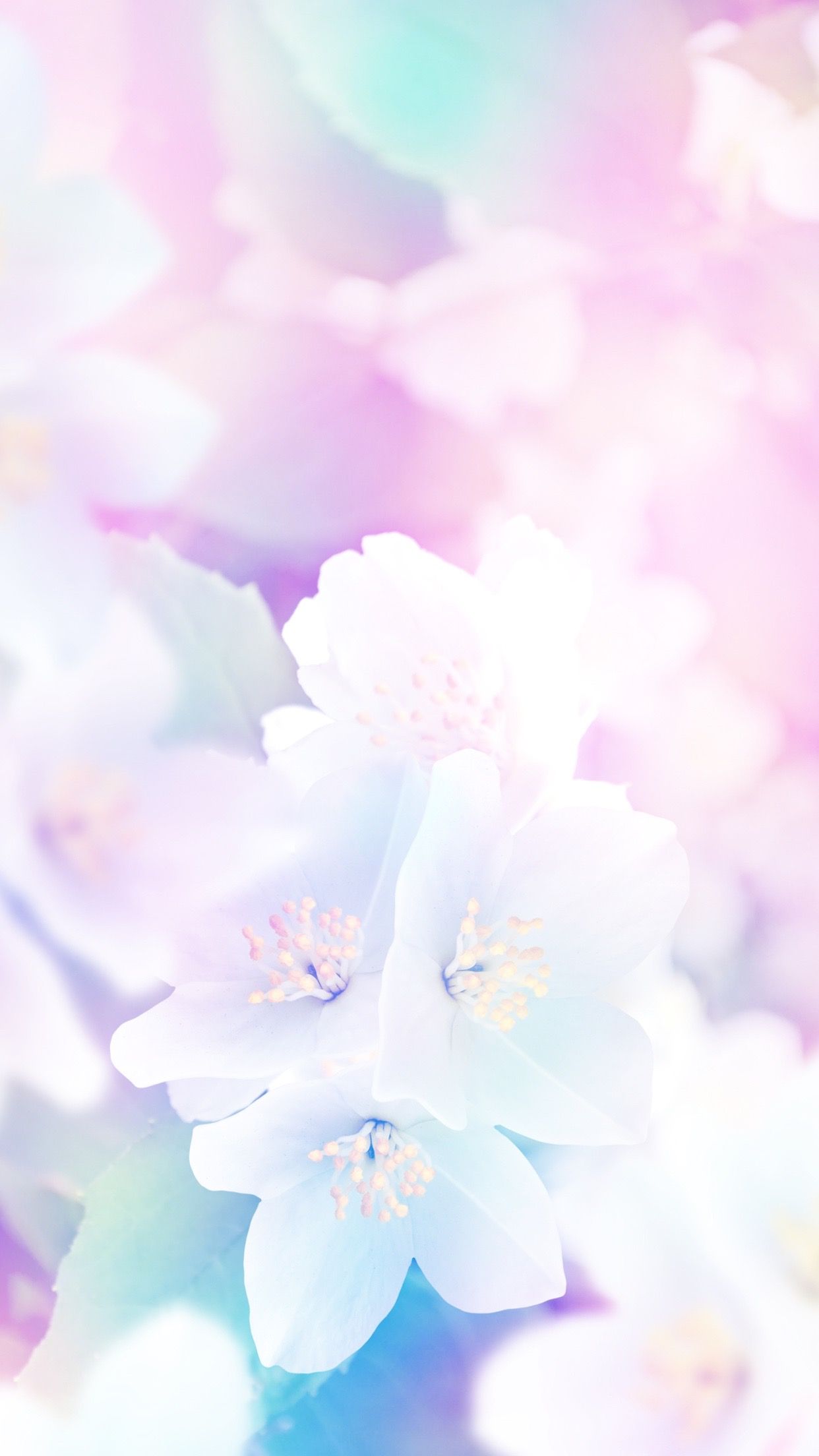 Beautiful Pastel Flowers Wallpapers