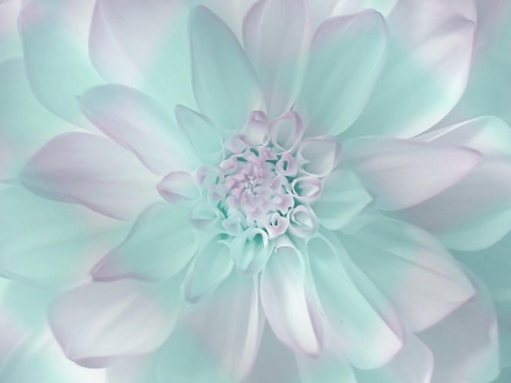 Beautiful Pastel Wallpapers