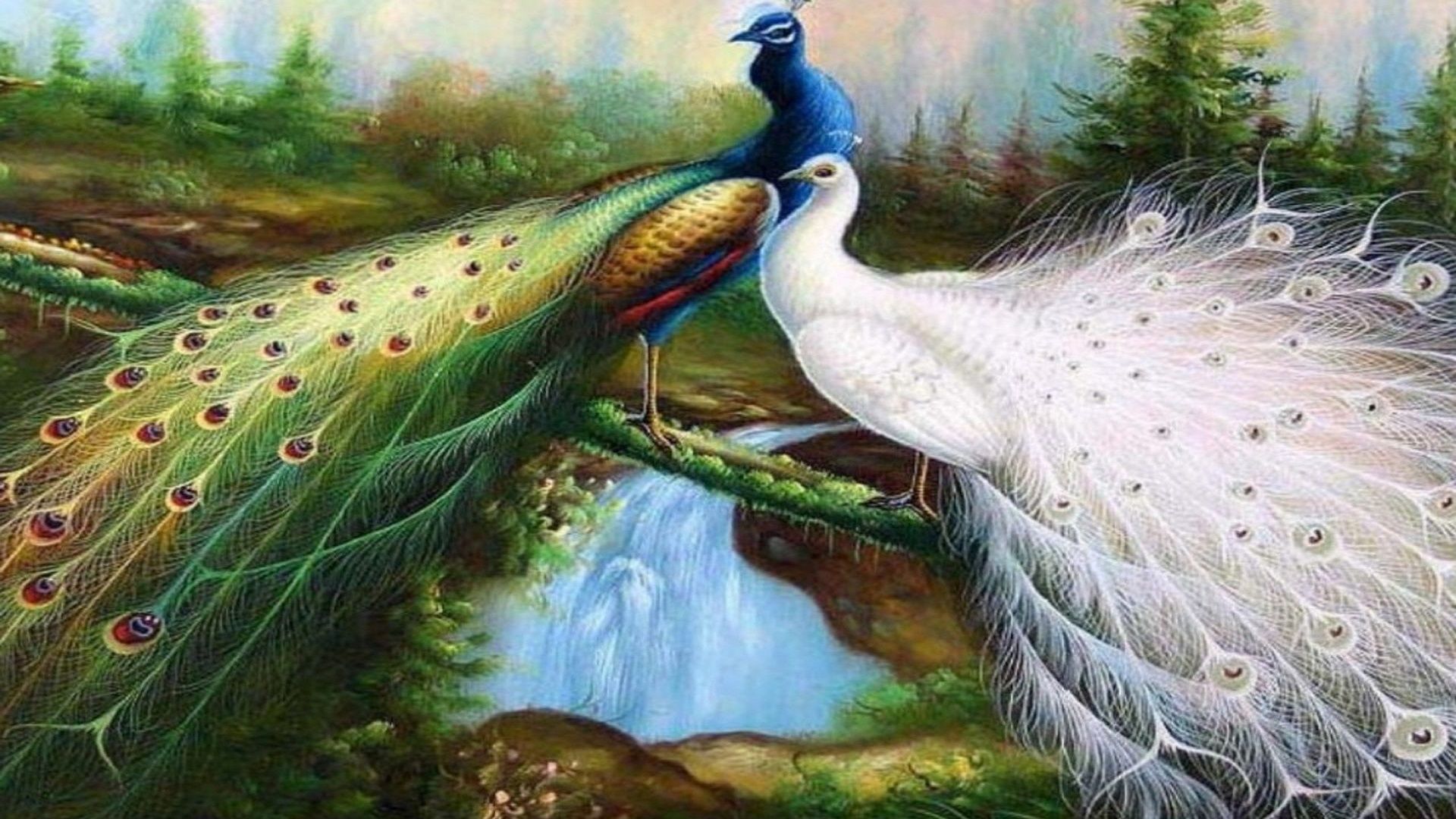 Beautiful Peacock Wallpapers