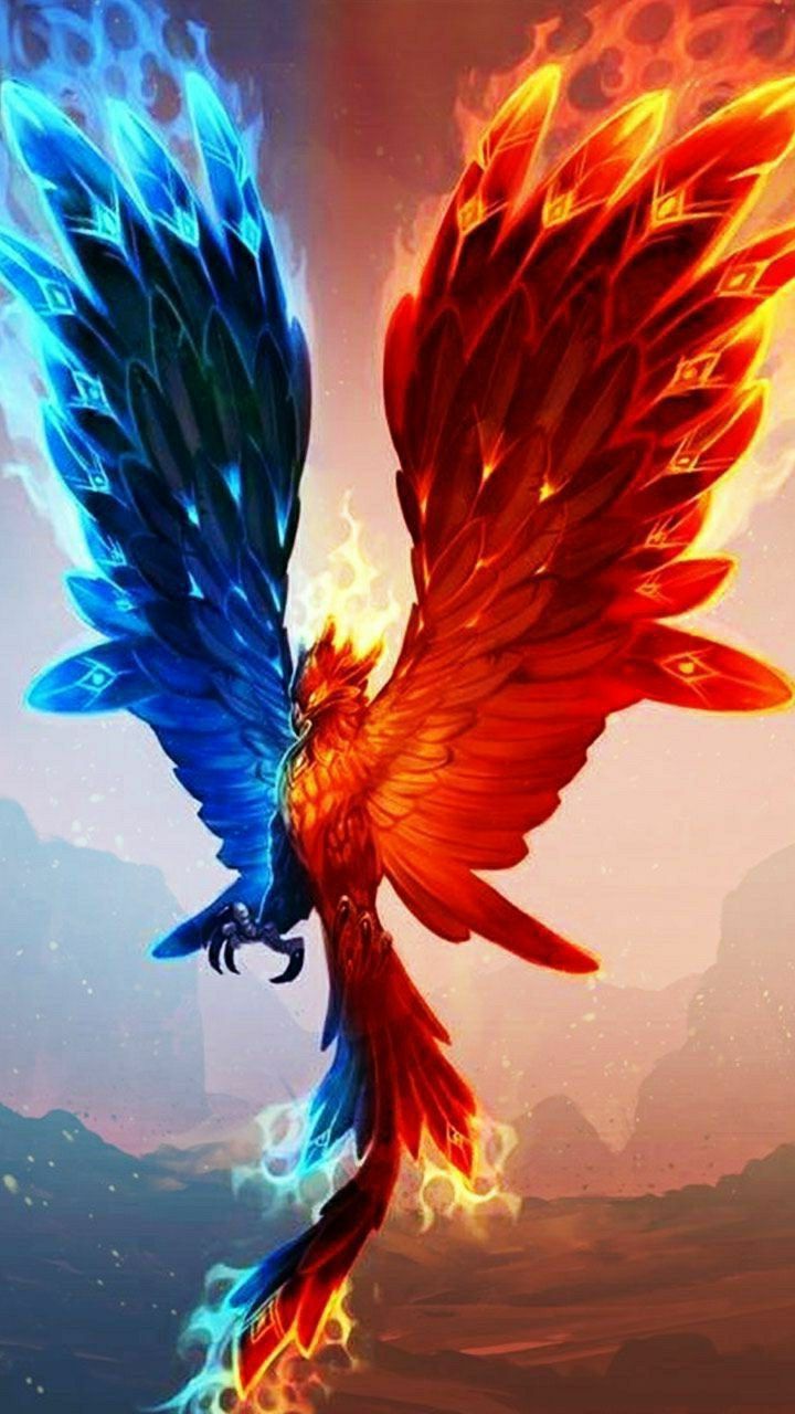 Beautiful Phoenix Wallpapers