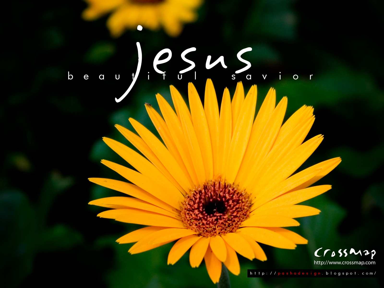 Beautiful Pictures Of Jesus Wallpapers Wallpapers