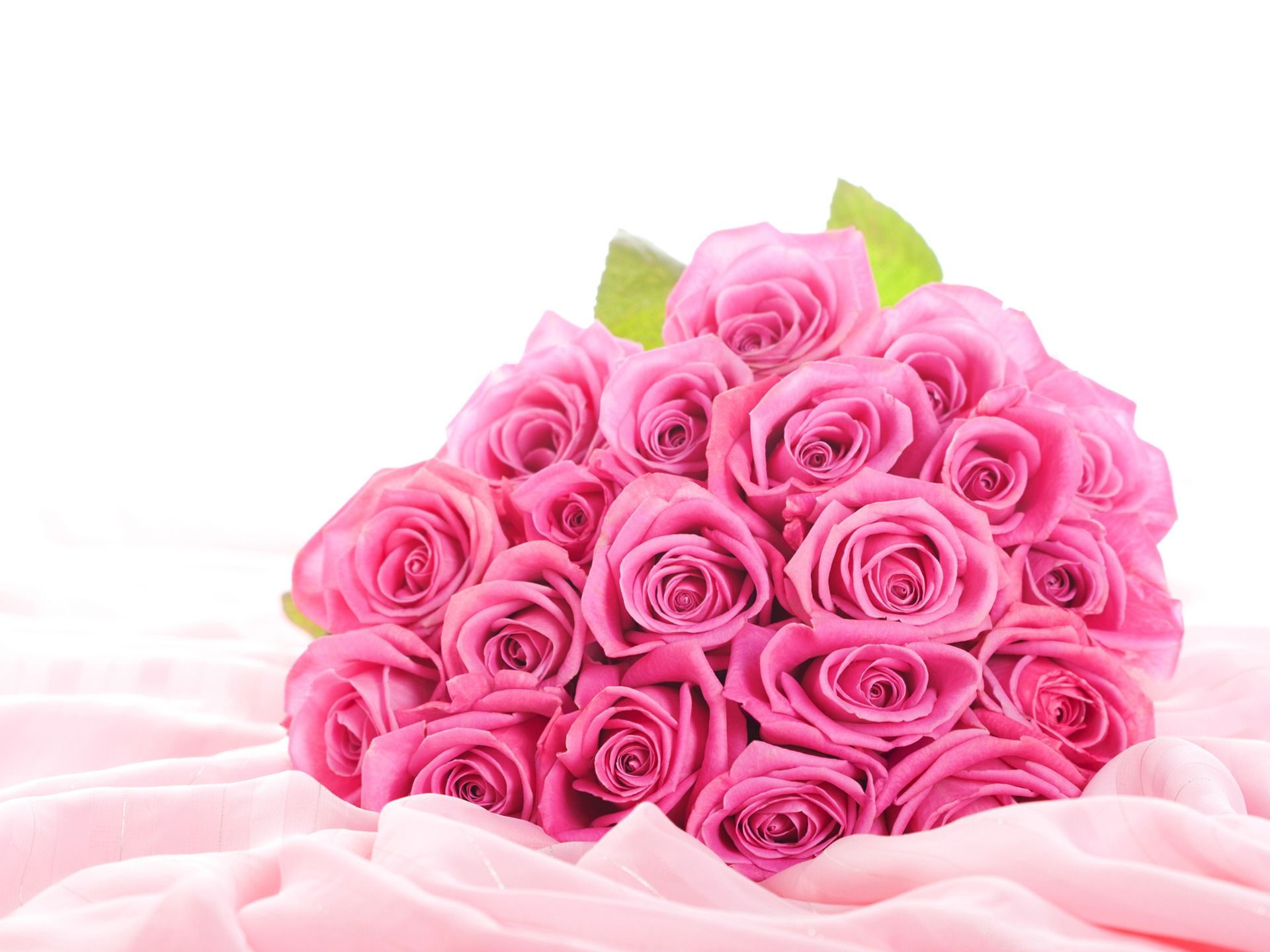 Beautiful Pink Flowers Wallpapers