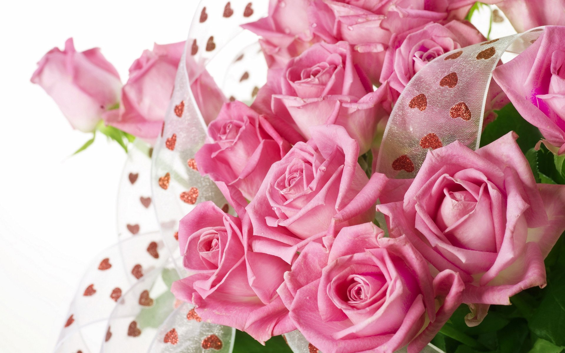 Beautiful Pink Flowers Wallpapers