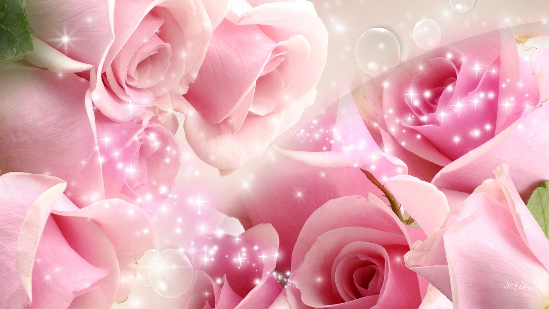 Beautiful Pink Flowers Wallpapers