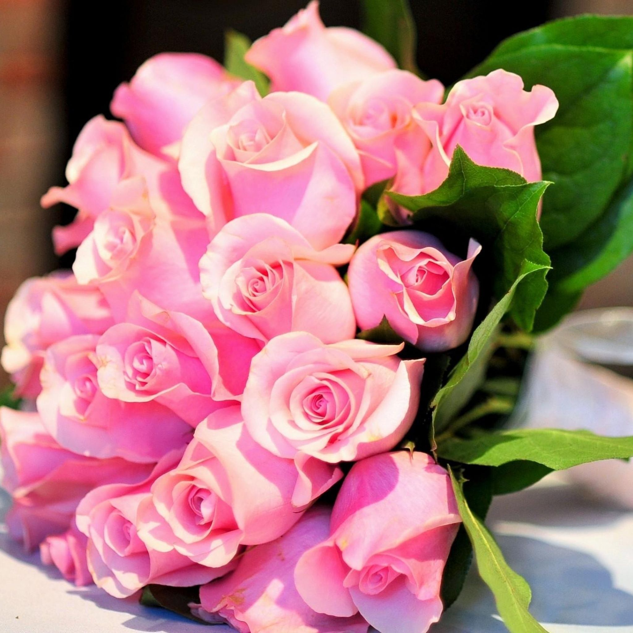 Beautiful Pink Flowers Wallpapers