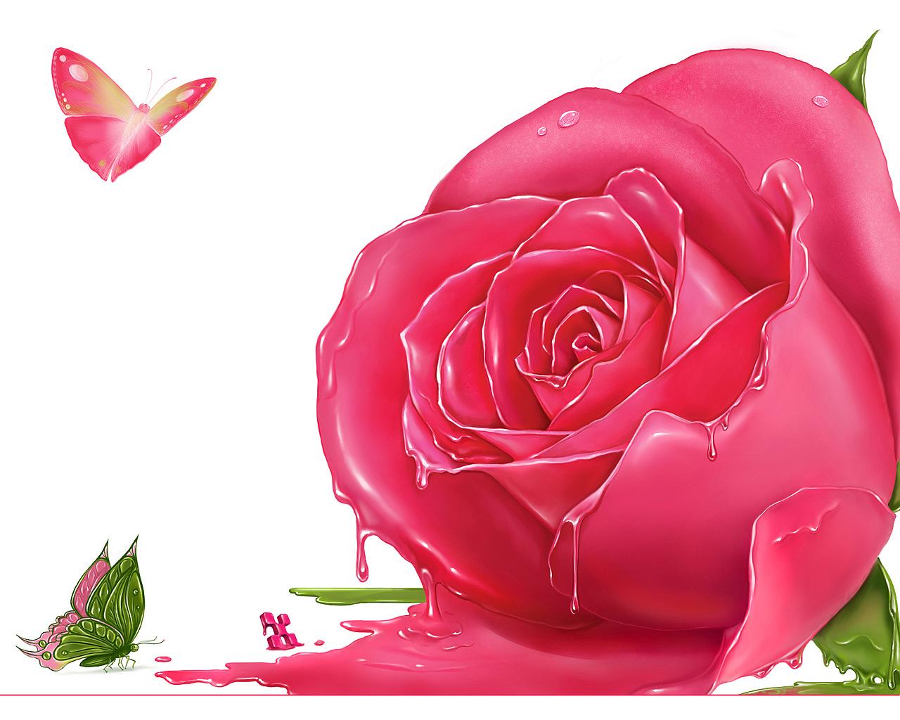 Beautiful Pink Roses Wallpapers Wallpapers
