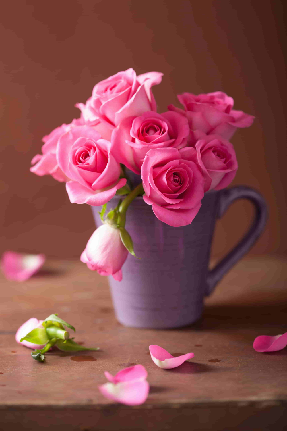 Beautiful Pink Roses Wallpapers Wallpapers