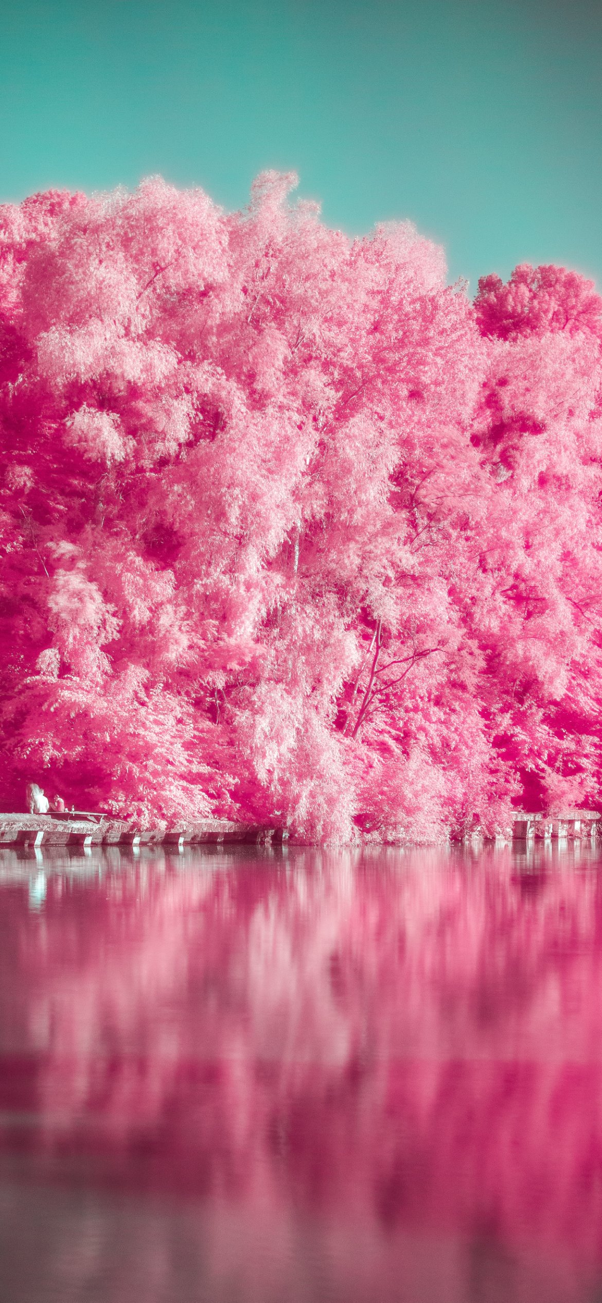 Beautiful Pink Wallpapers