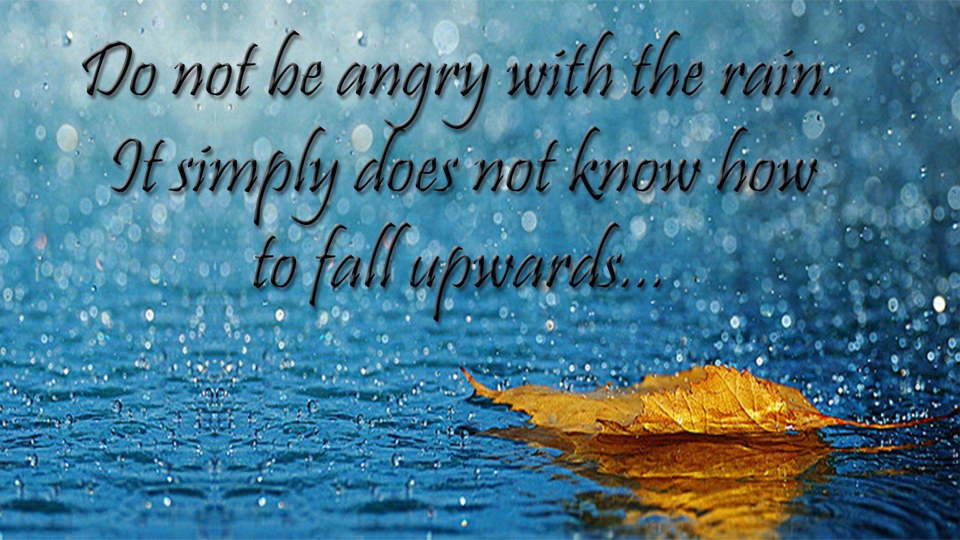 Beautiful Rain Drops With Quotes Wallpapers