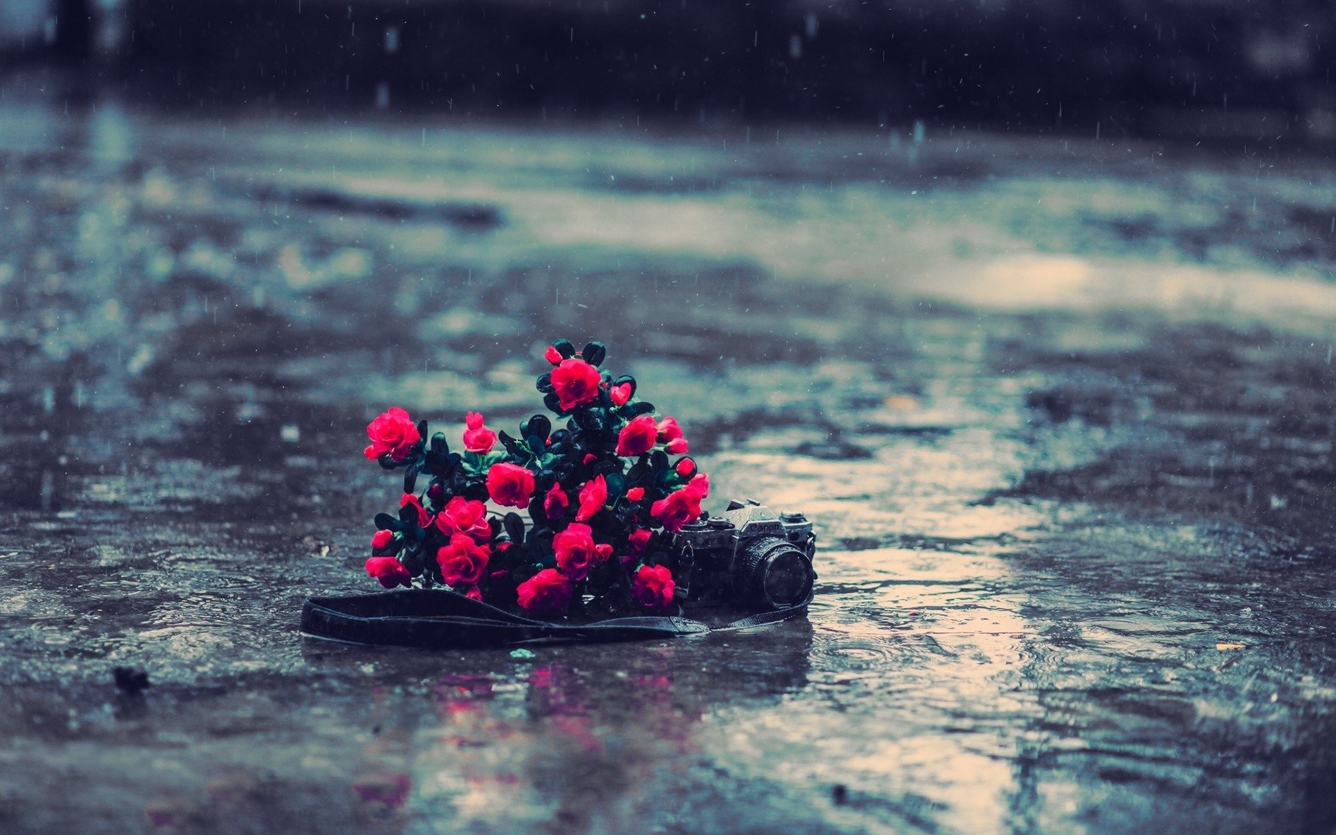 Beautiful Rain Wallpaper For Mobile Wallpapers