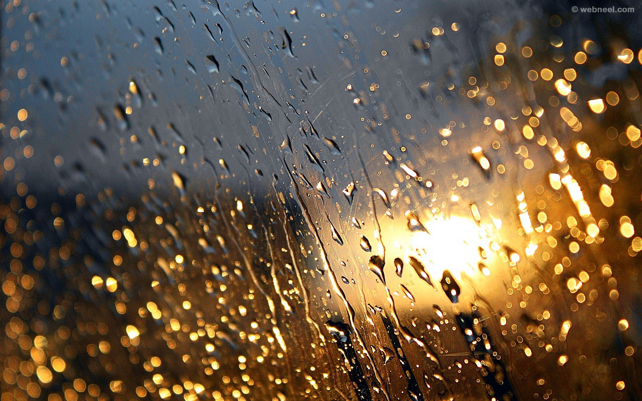 Beautiful Rain Wallpaper For Mobile Wallpapers