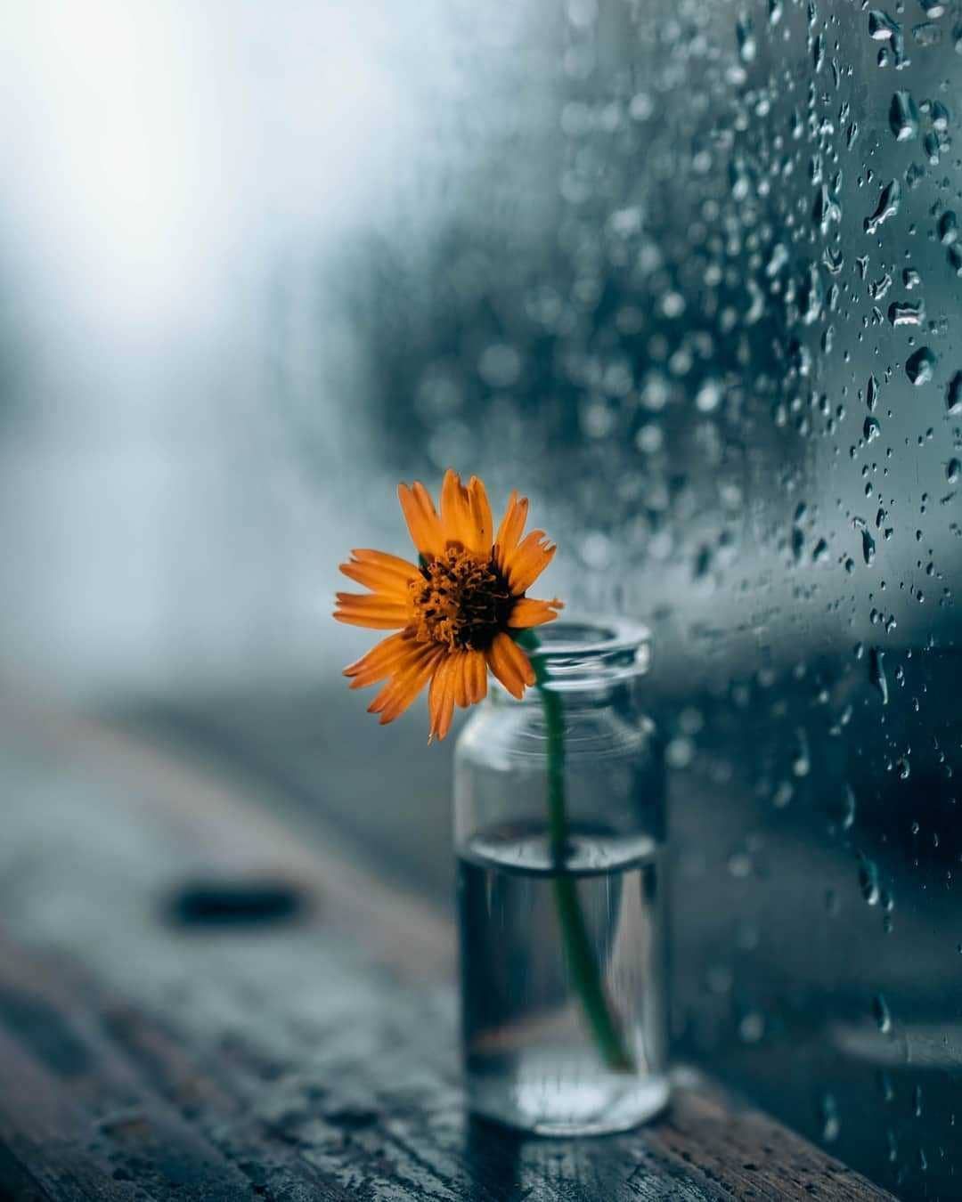 Beautiful Rain Wallpaper For Mobile Wallpapers