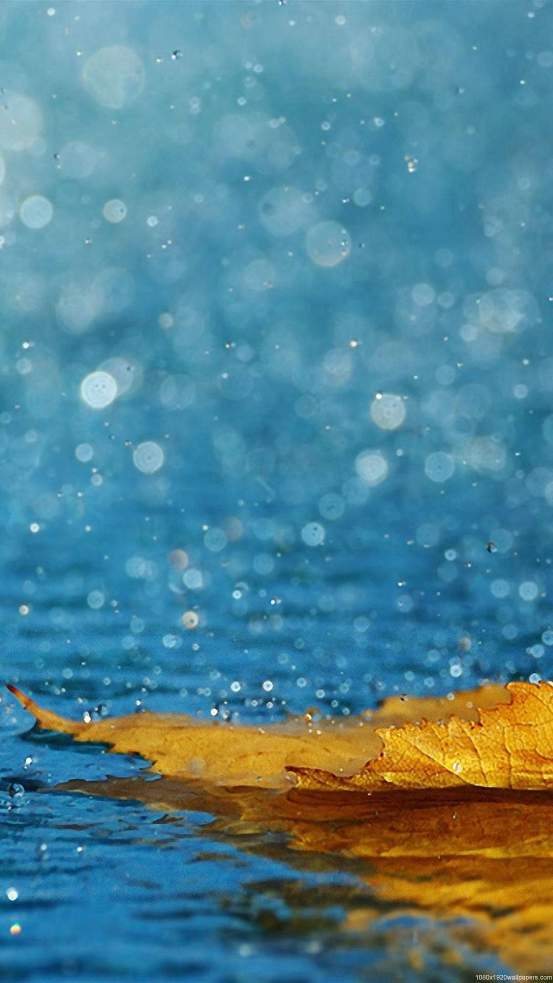 Beautiful Rain Wallpaper For Mobile Wallpapers