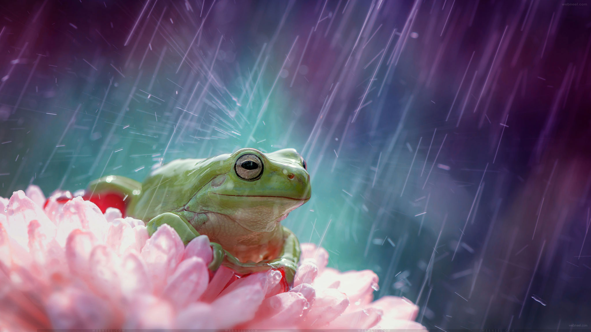 Beautiful Rain Wallpapers