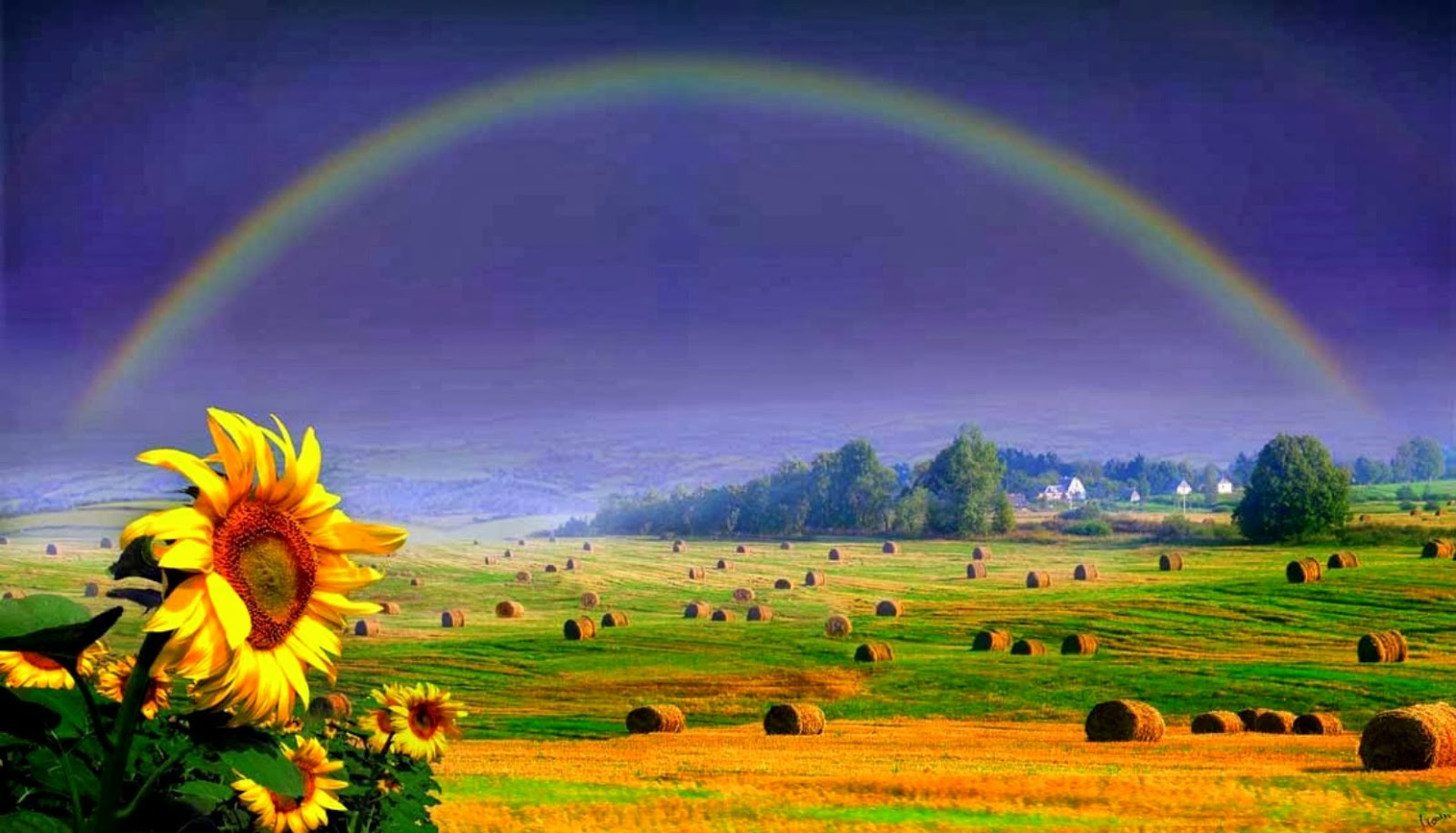 Beautiful Rainbow Wallpapers