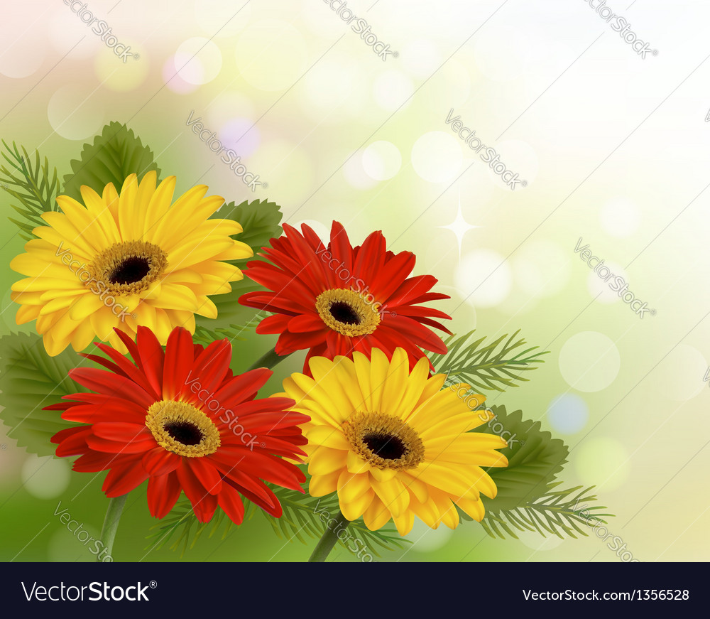 Beautiful Real Flowers Background