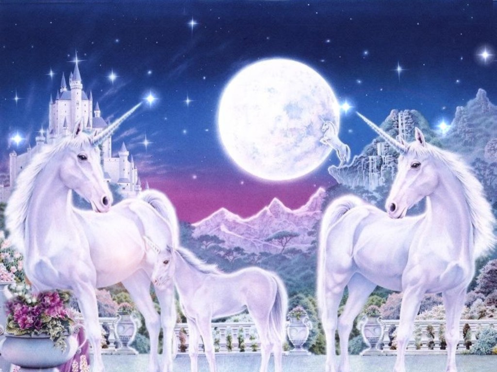 Beautiful Real Unicorn Wallpapers