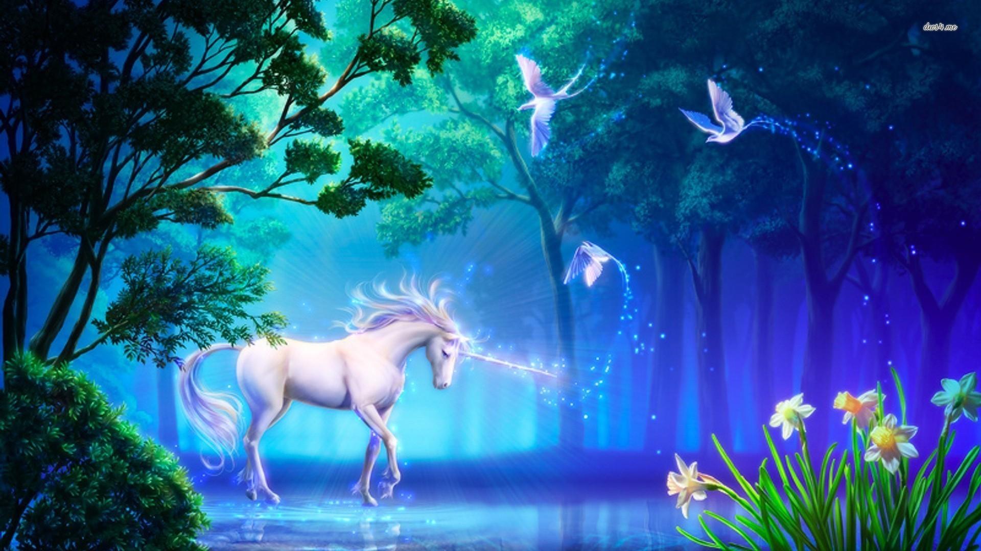 Beautiful Real Unicorn Wallpapers