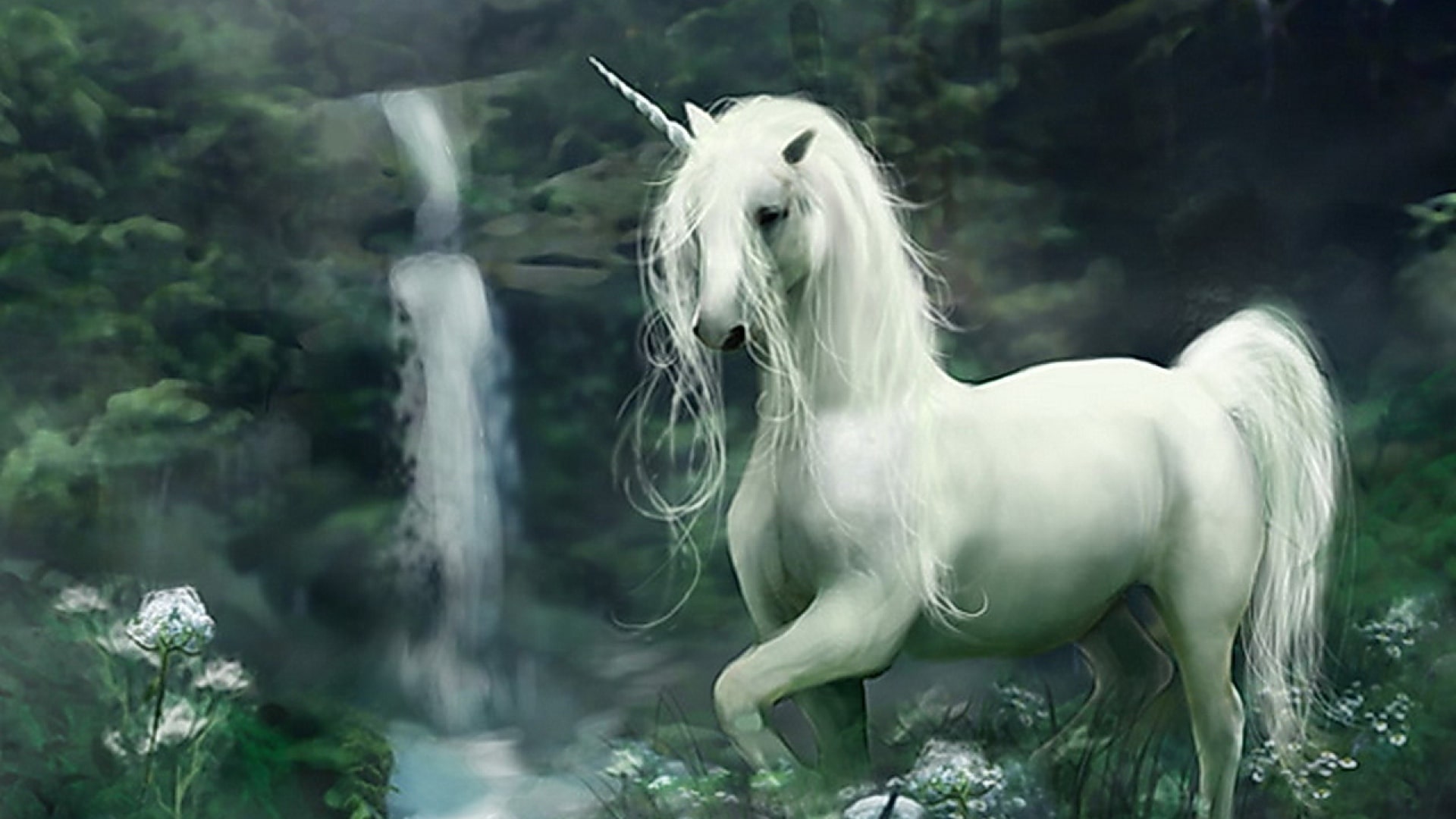 Beautiful Real Unicorn Wallpapers