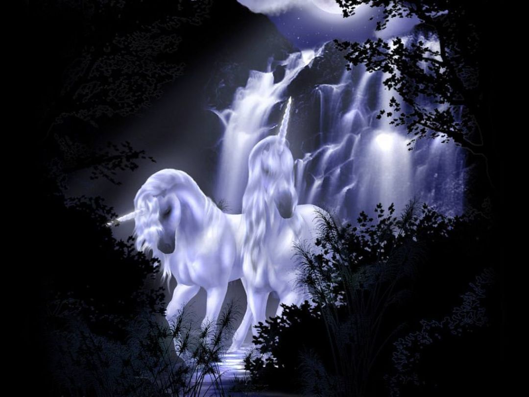 Beautiful Real Unicorn Wallpapers