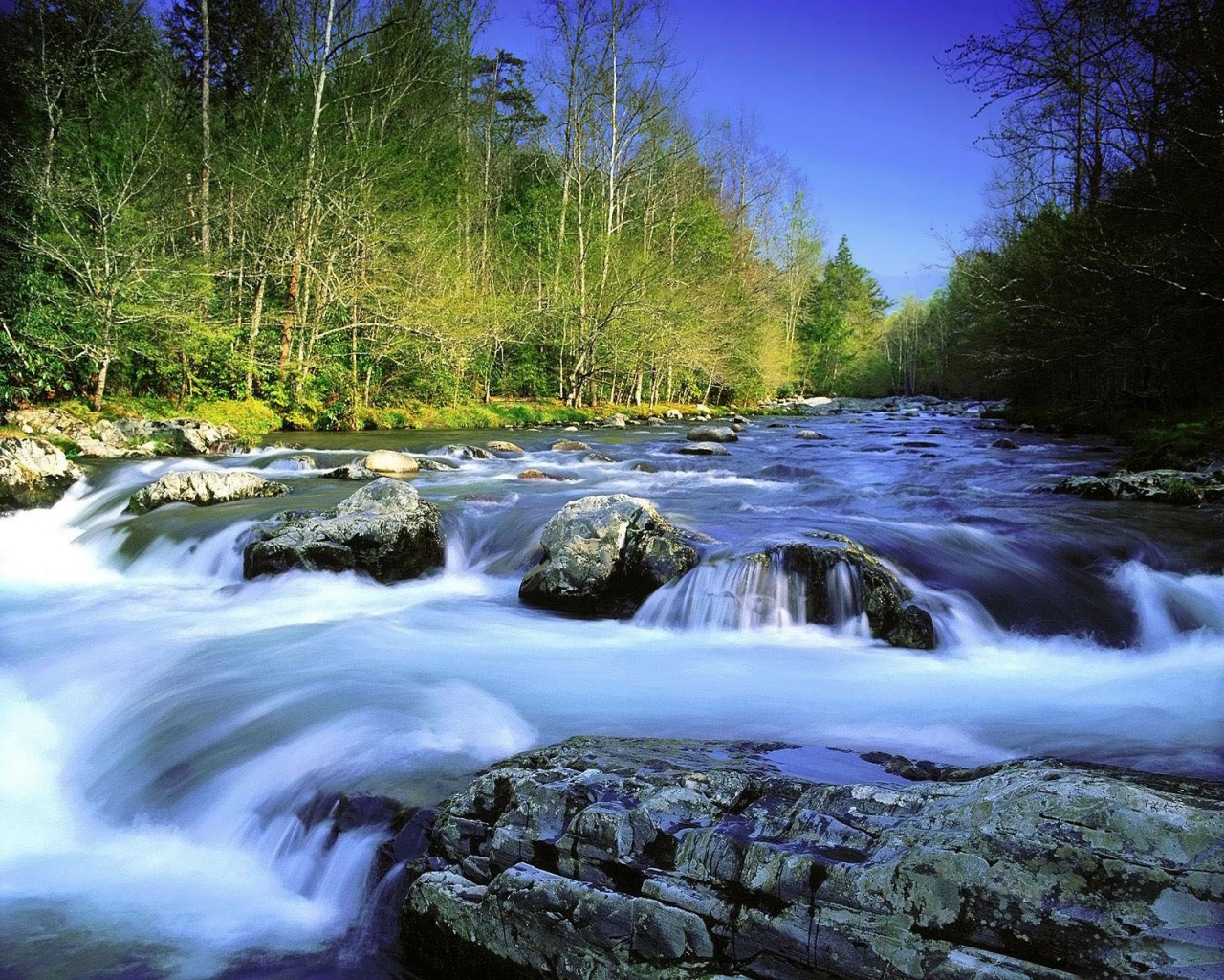 Beautiful River Wallpapers