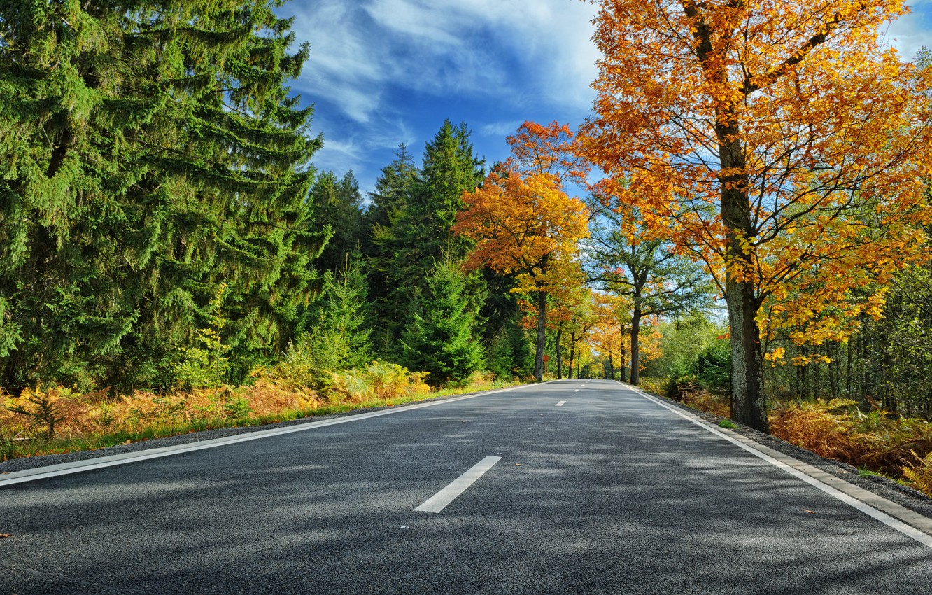 Beautiful Road And Forest In Fall Wallpapers