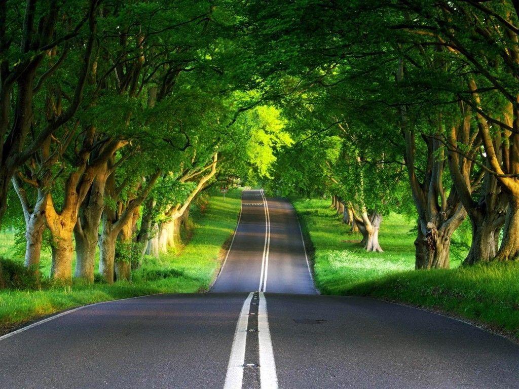 Beautiful Roads Wallpapers