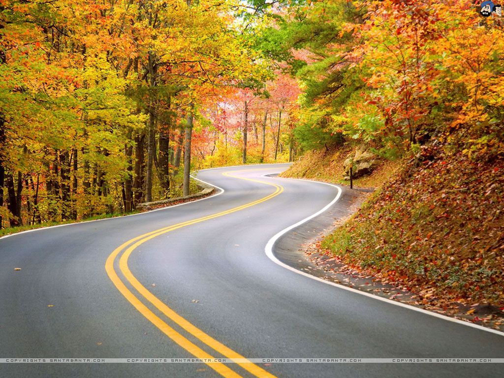 Beautiful Roads Wallpapers