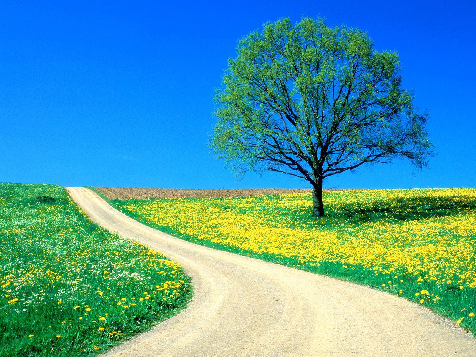 Beautiful Roads Wallpapers