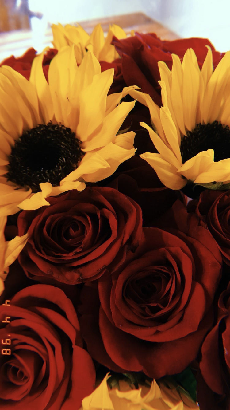 Beautiful Roses And Sunflower Wallpapers