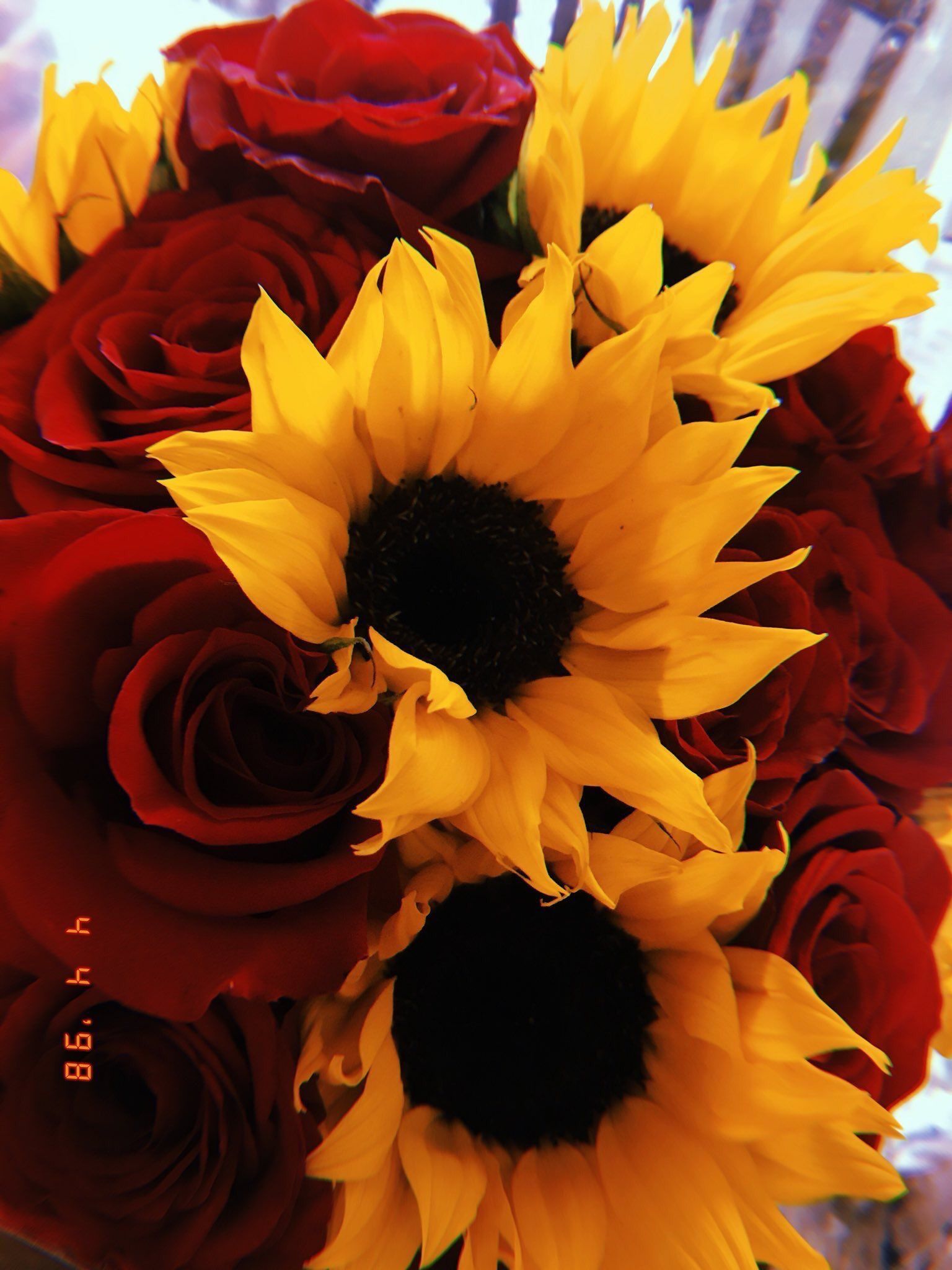 Beautiful Roses And Sunflower Wallpapers