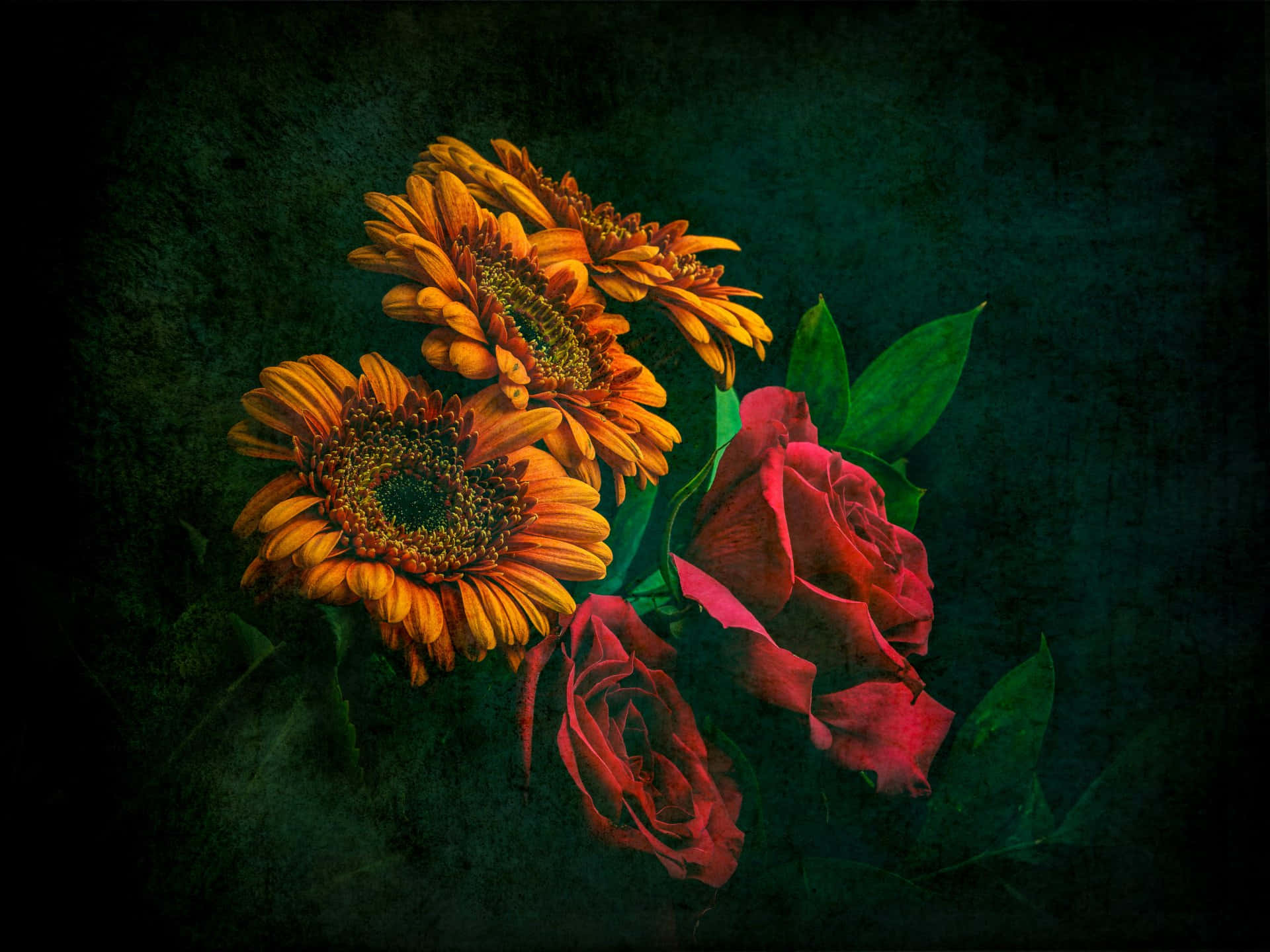 Beautiful Roses And Sunflower Wallpapers