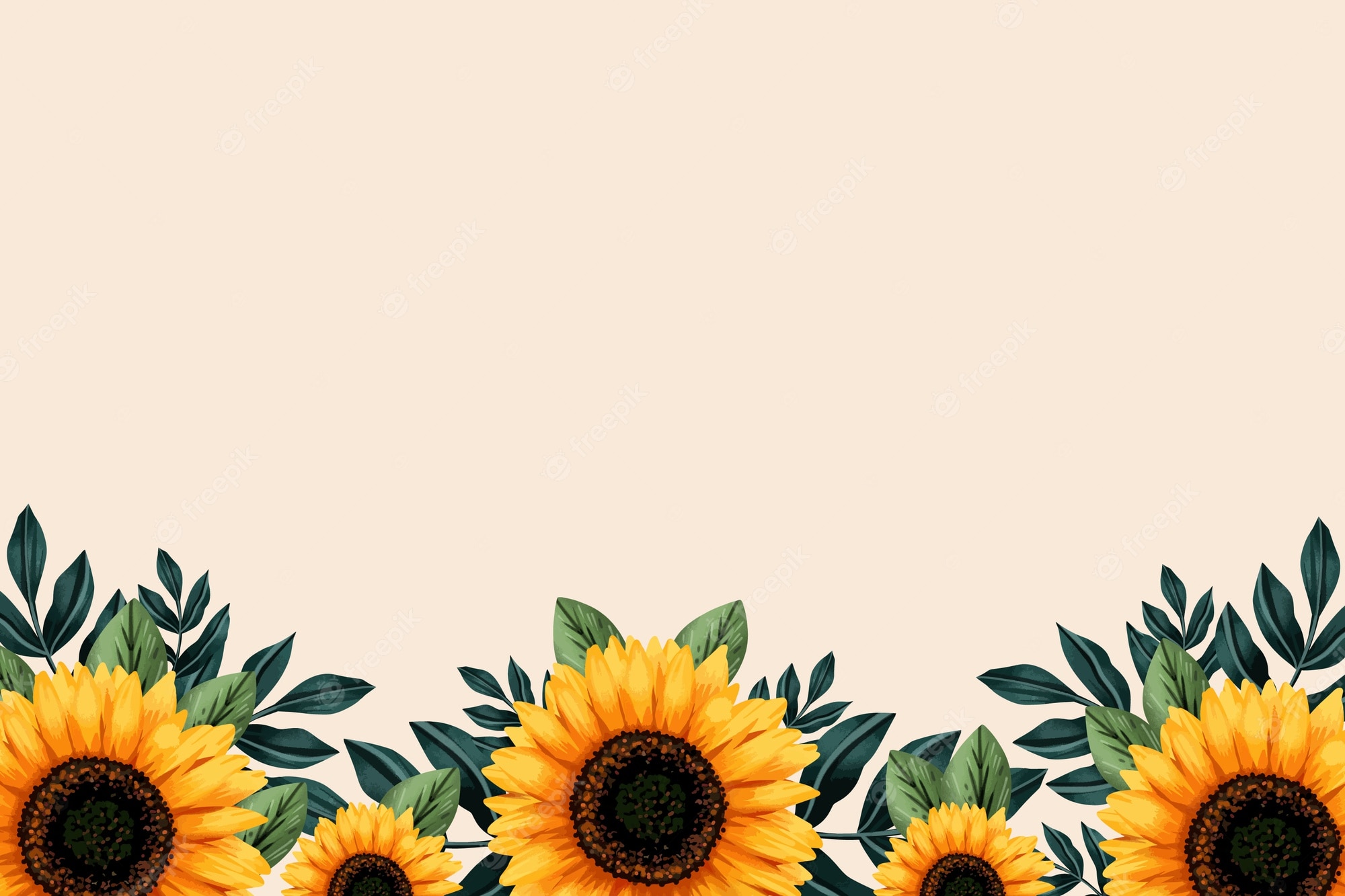 Beautiful Roses And Sunflower Wallpapers