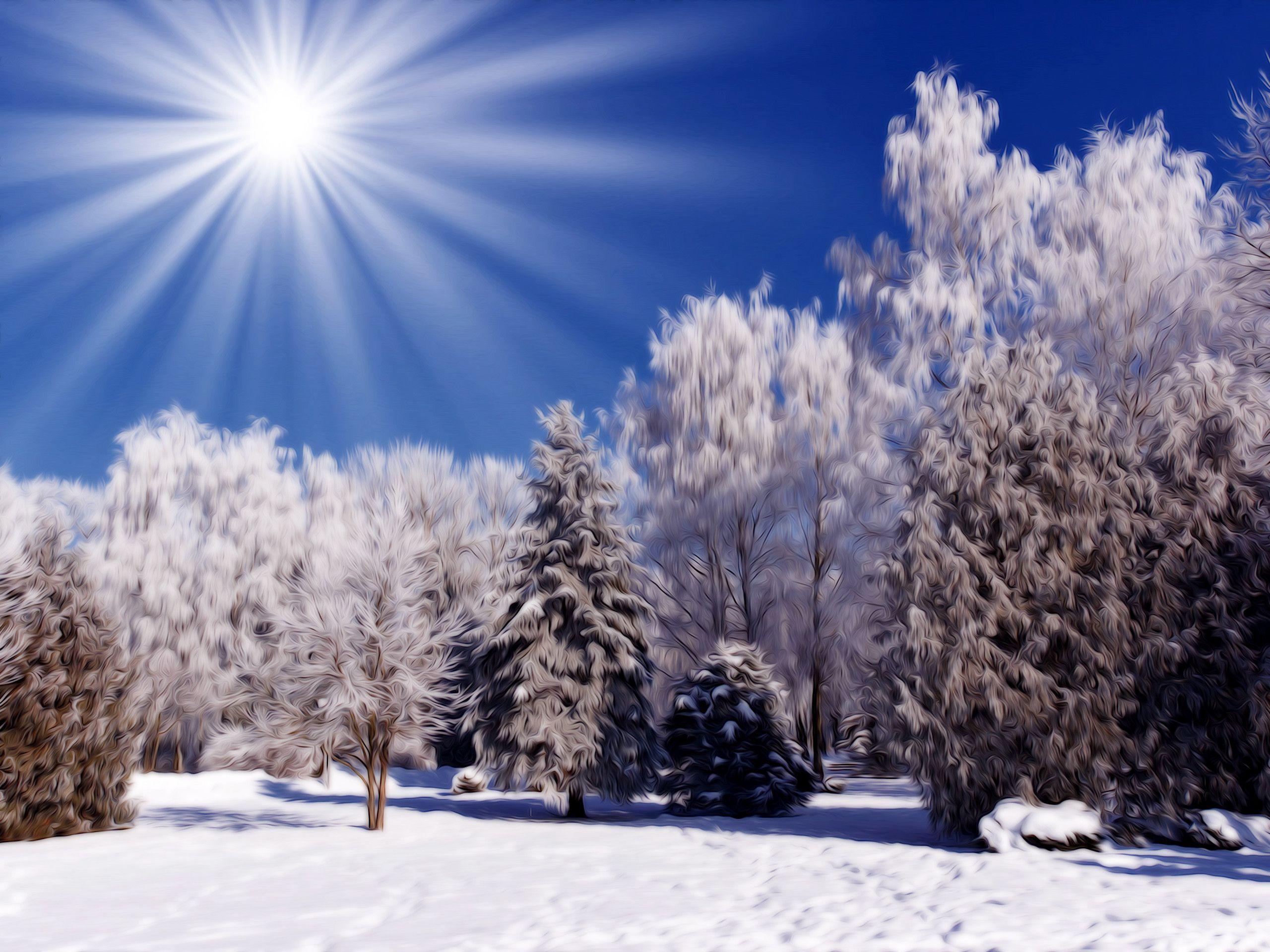 Beautiful Snow Scenes Wallpapers